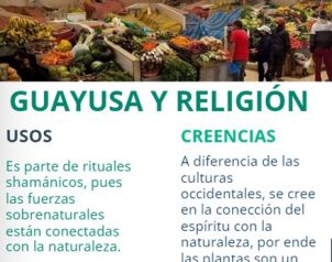 Infografía interactiva: La Guayusa y religión | CREA
