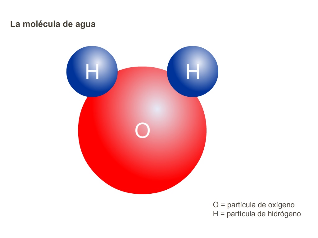 La molécula de agua | CREA